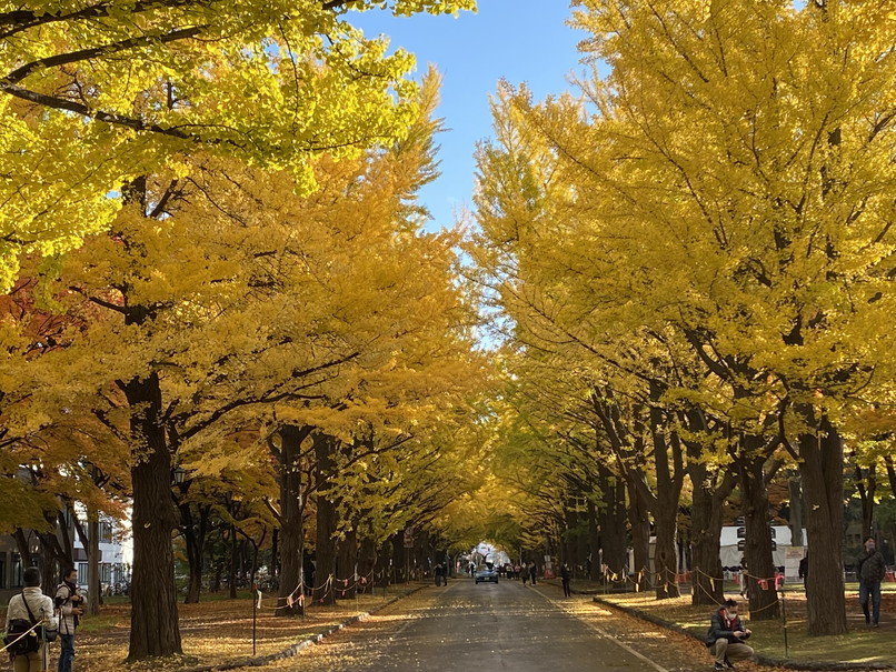 2022年10月-11月 『街の紅葉、そして街の初雪、札幌、北海道大学』　October 2022 \"Autumn Colors to the Snow in Sapporo\"_c0219616_16304113.jpg