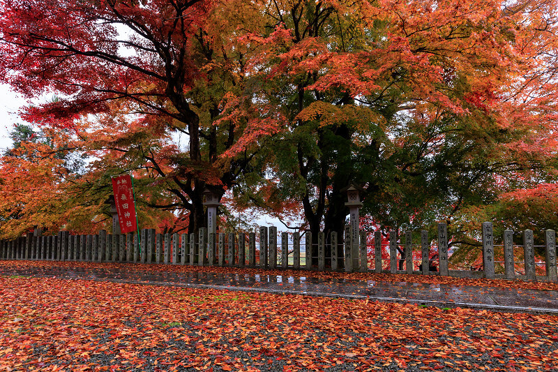 2022紅葉煌めく京都　桑田神社の散り紅葉_f0155048_16511833.jpg