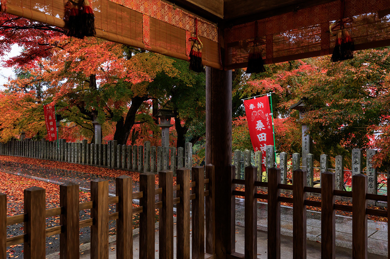 2022紅葉煌めく京都　桑田神社の散り紅葉_f0155048_16513268.jpg