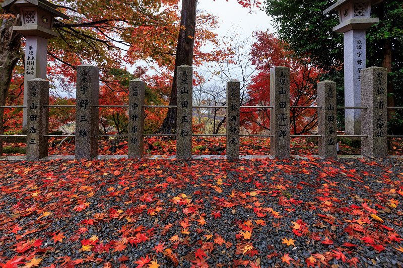 2022紅葉煌めく京都　桑田神社の散り紅葉_f0155048_16515393.jpg