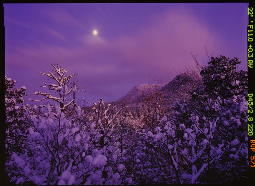 雪の景_f0207844_23150309.jpg