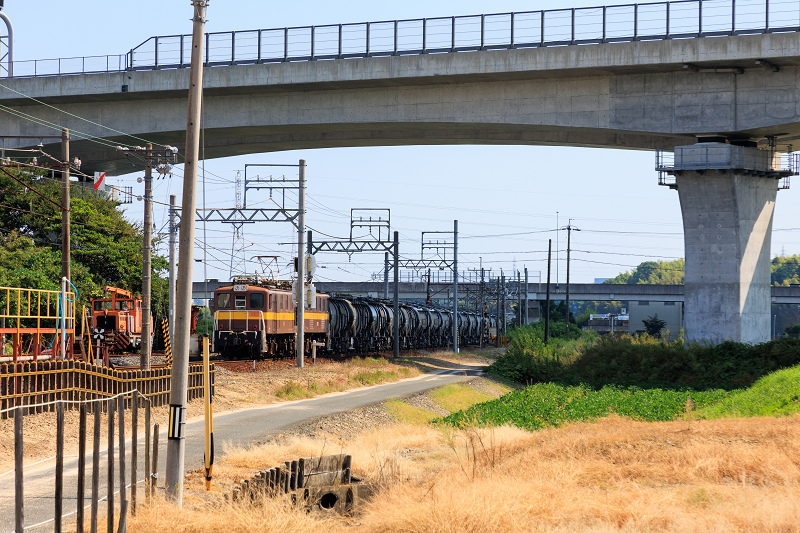 秋の花の中を征く三岐鉄道_f0155048_22100239.jpg