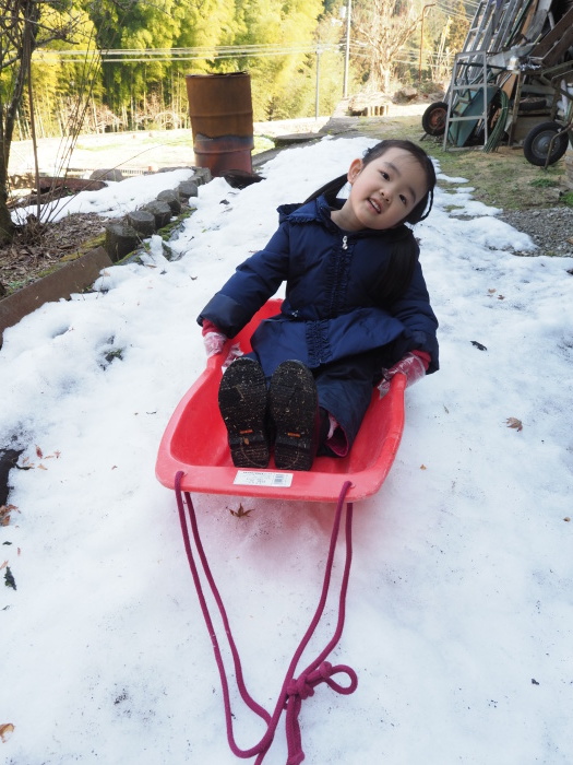 新年会と雪遊びなど_c0116915_00044801.jpg