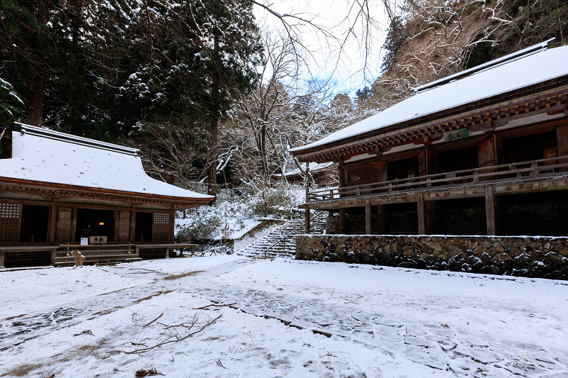 雪景色・室生寺（前編）_f0155048_20215133.jpg