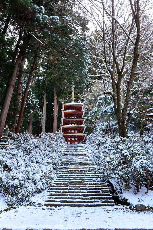 雪景色・室生寺（前編）_f0155048_20234898.jpg