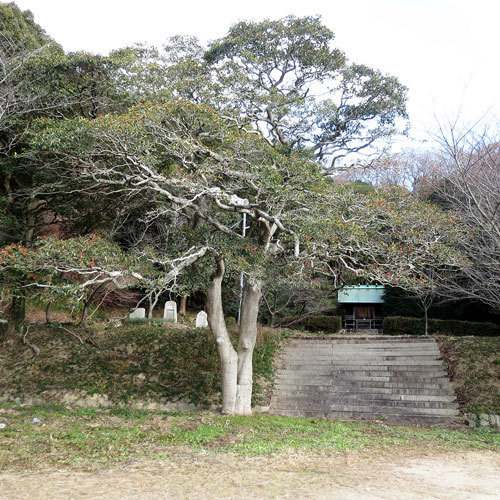 2023年・初詣「牛窓神社」_d0130640_07224866.jpg