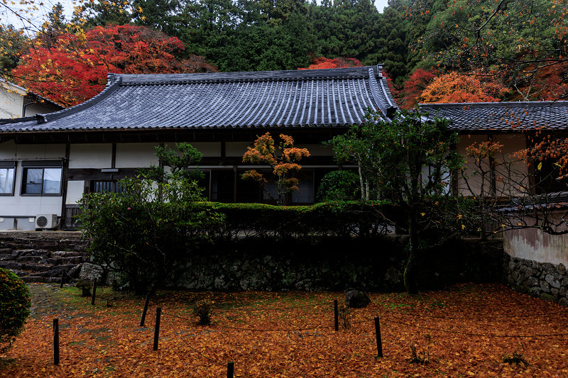 2022紅葉煌めく京都　山寺彩る雨紅葉（法常寺）_f0155048_23372799.jpg