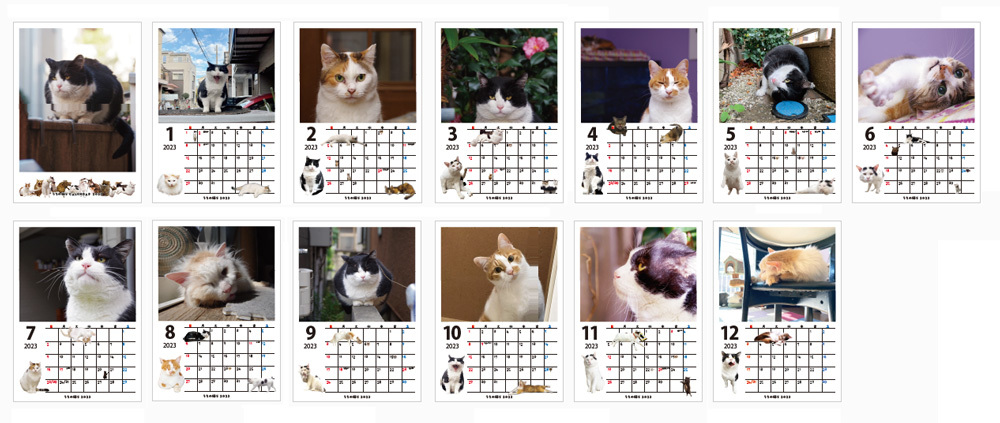 うちの猫らカレンダー2023_a0028451_02203346.jpg