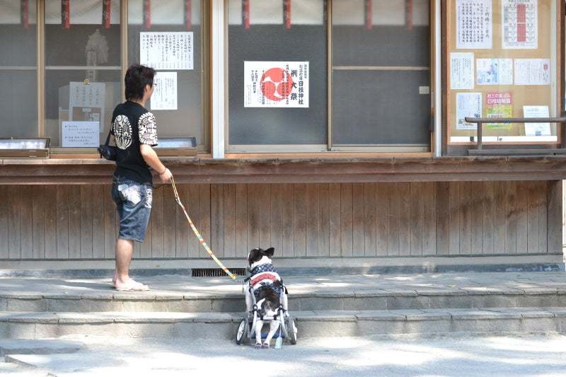 今日も神様が。。。_b0307951_22011198.jpg