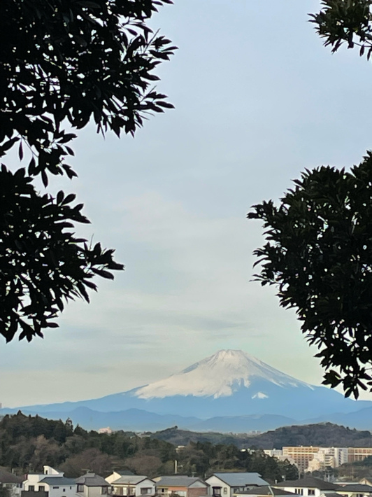 1月6日　曇り空の富士山_f0296312_11234512.jpg