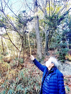 冬の明神山の木々について学びました_b0194861_16303278.jpg