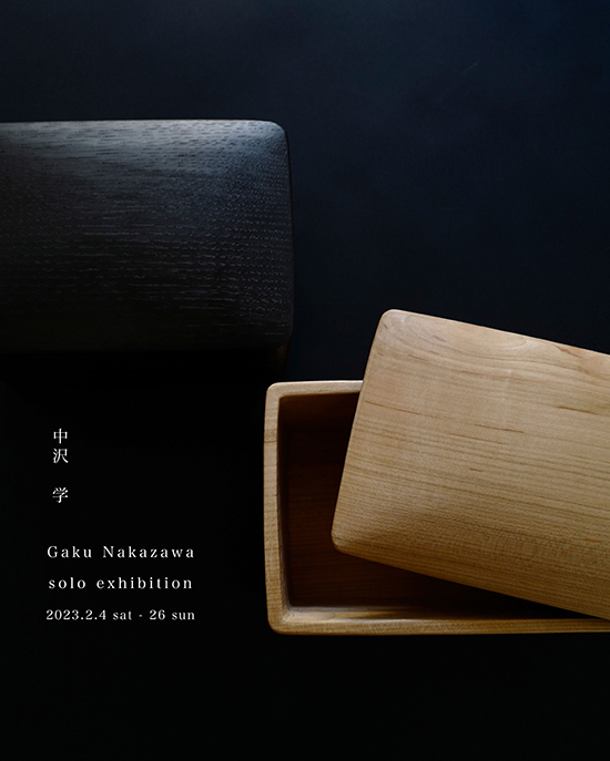 Gaku Nakazawa solo exhibition_b0120278_11001748.jpg