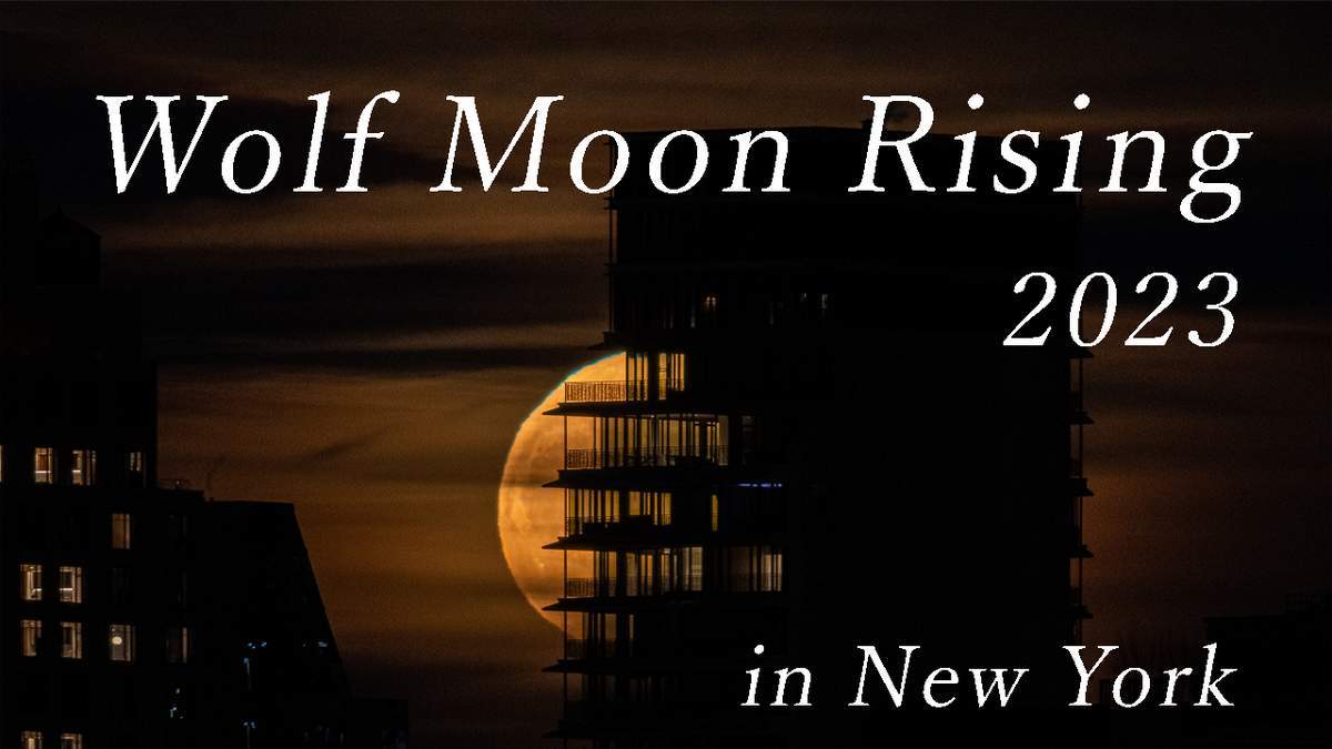 Wolf Moon Rising 2023 Short Film Vol.20_a0274805_06055561.jpg