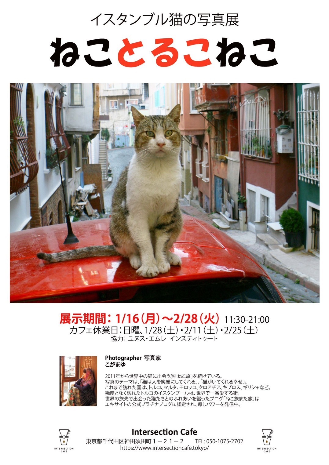 【好評につき3/4（土）まで延長となりました！】1/16～2/28東京都千代田区神田にあるIntersection Cafeさんで、トルコの猫の写真展を開催します！_e0255060_20443129.jpg
