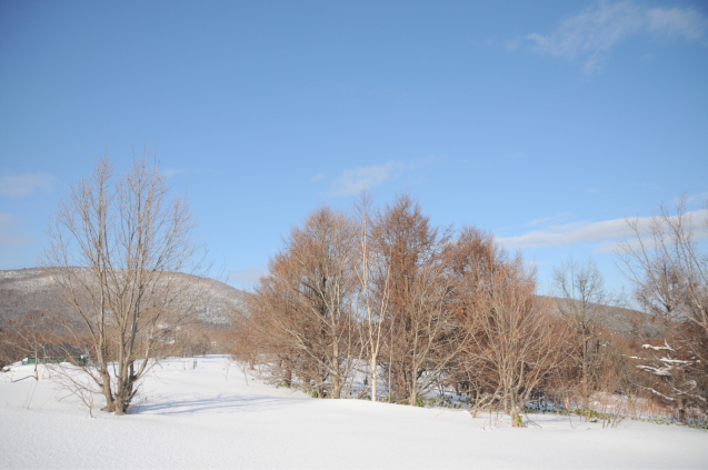 この冬も、スノーシューで雪原へ_c0125899_15213003.jpg