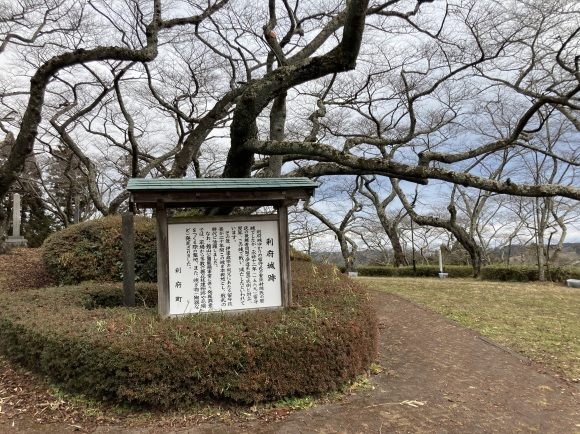 奥松島　カップラーツー　カブ探検隊は行く_f0363741_22425775.jpg