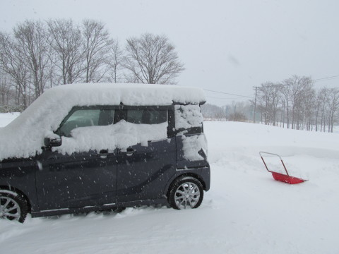 雪積もってます！降ってます！たまに吹雪いてます！！_d0072917_13034392.jpg