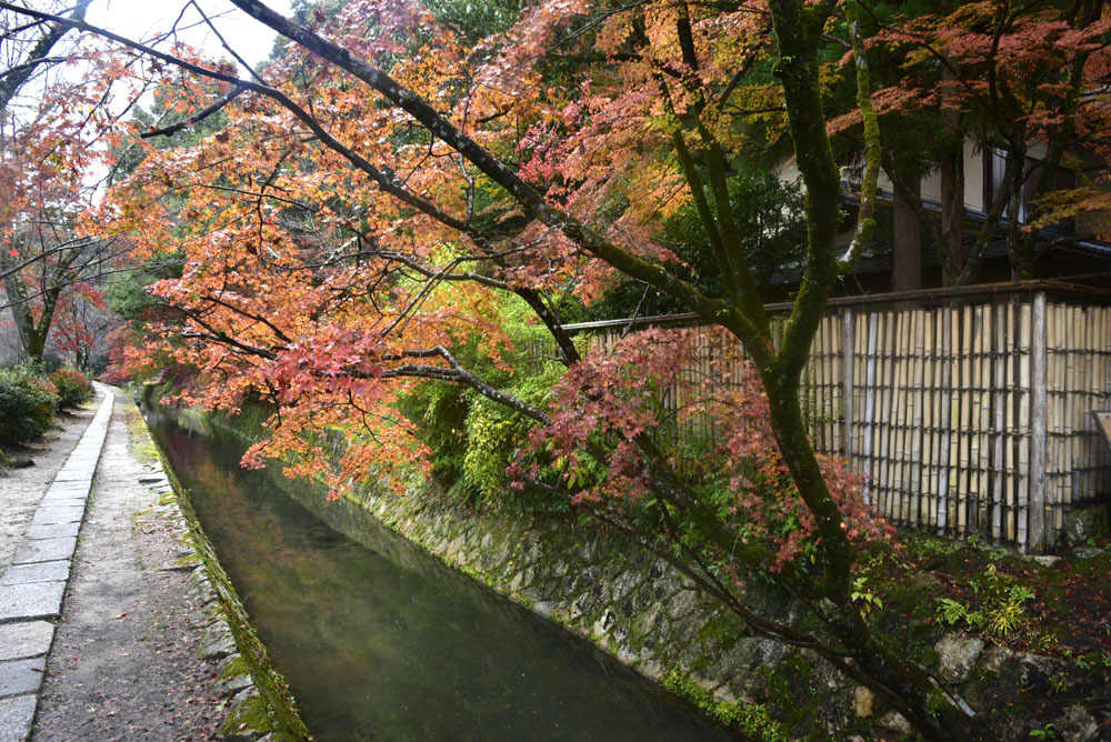 2022年紅葉の旅13_e0367330_18271563.jpg