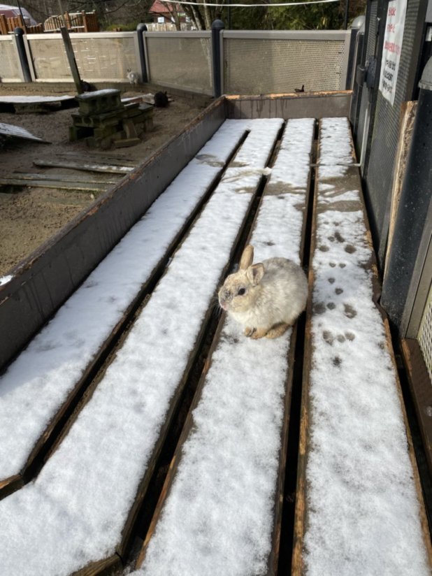 通常が戻りつつあります　1/21_b0214652_19024446.jpg