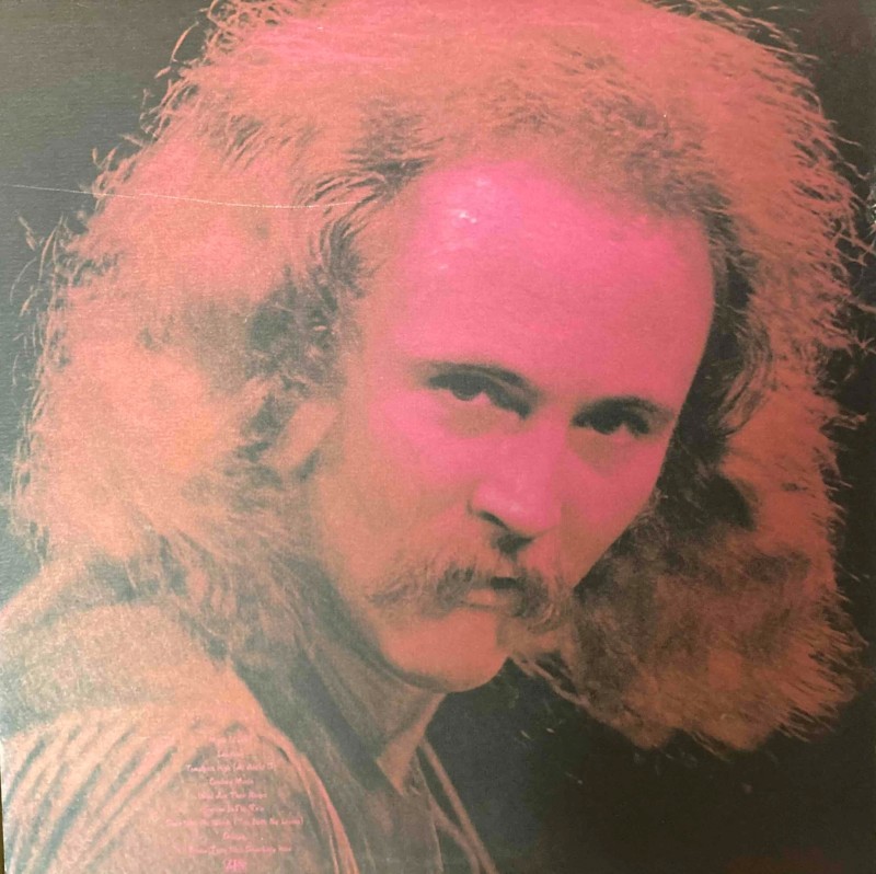 David Crosby  　　If I Could Only Remember My Name_d0335744_08512306.jpg