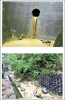 2021年７月３日に発生した熱海･伊豆山地区での土石流  （３１）_f0197754_22345734.jpg