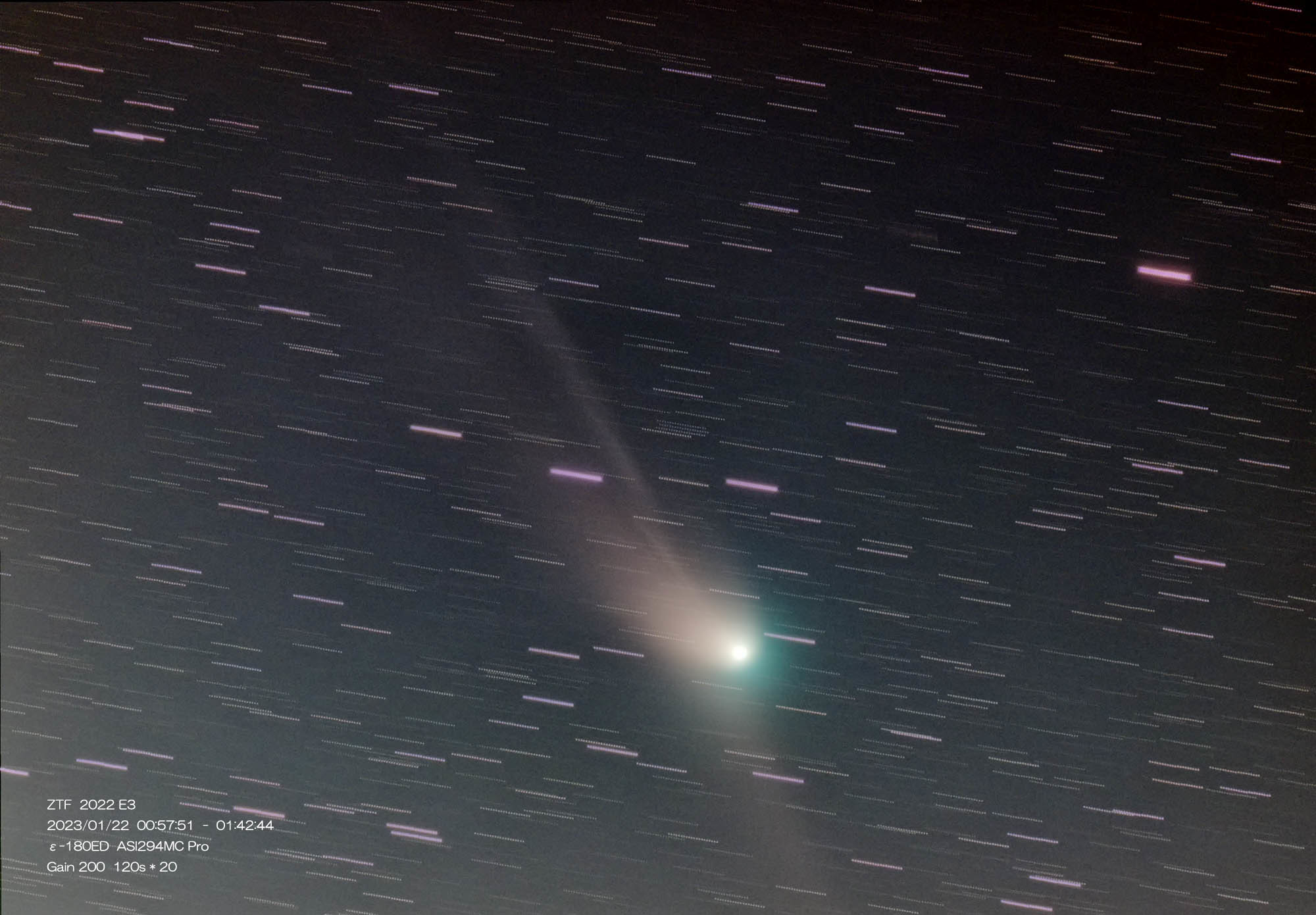 1月22日早朝のZTF彗星_e0174091_10550414.jpg