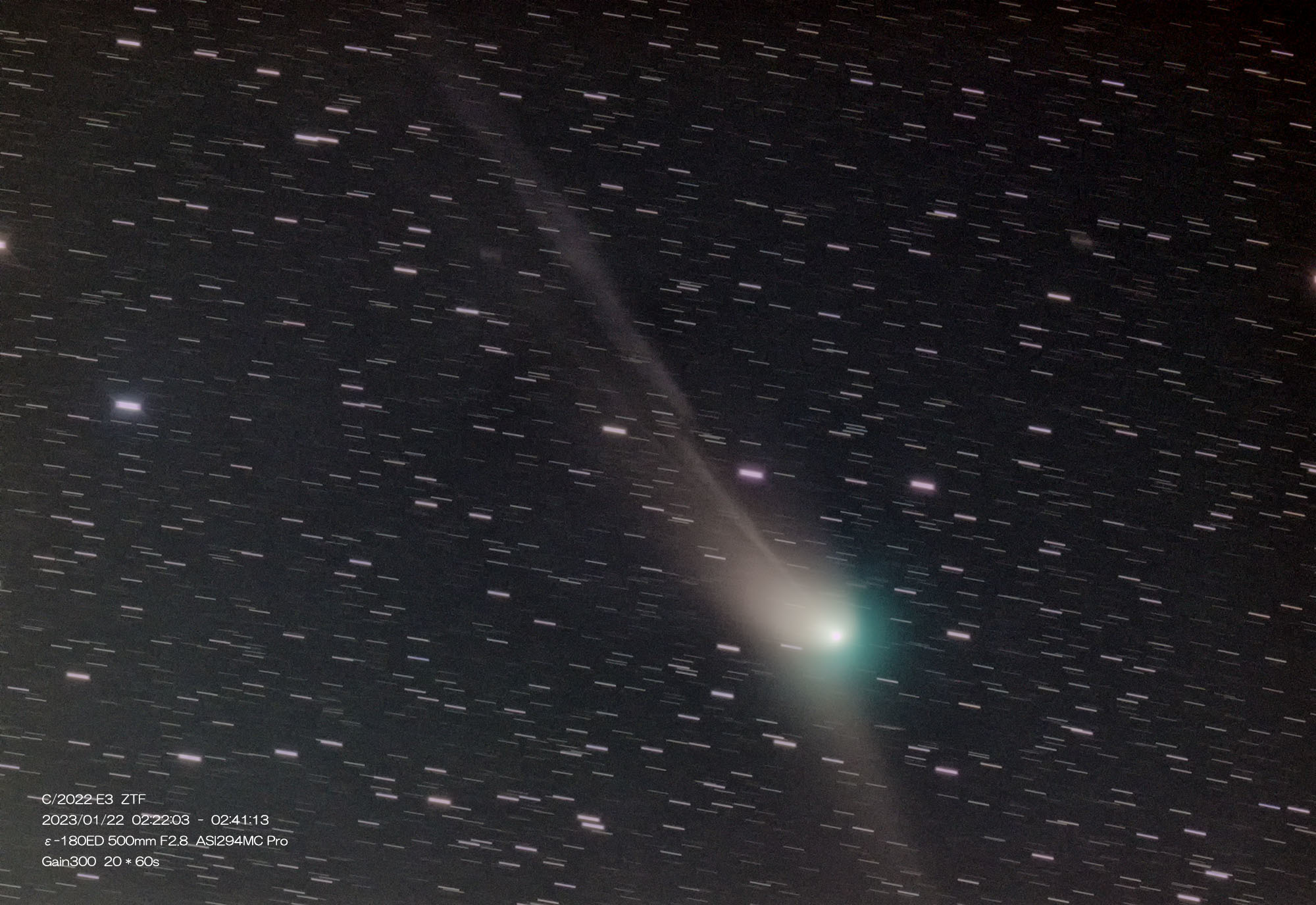 1月22日早朝のZTF彗星_e0174091_10563124.jpg