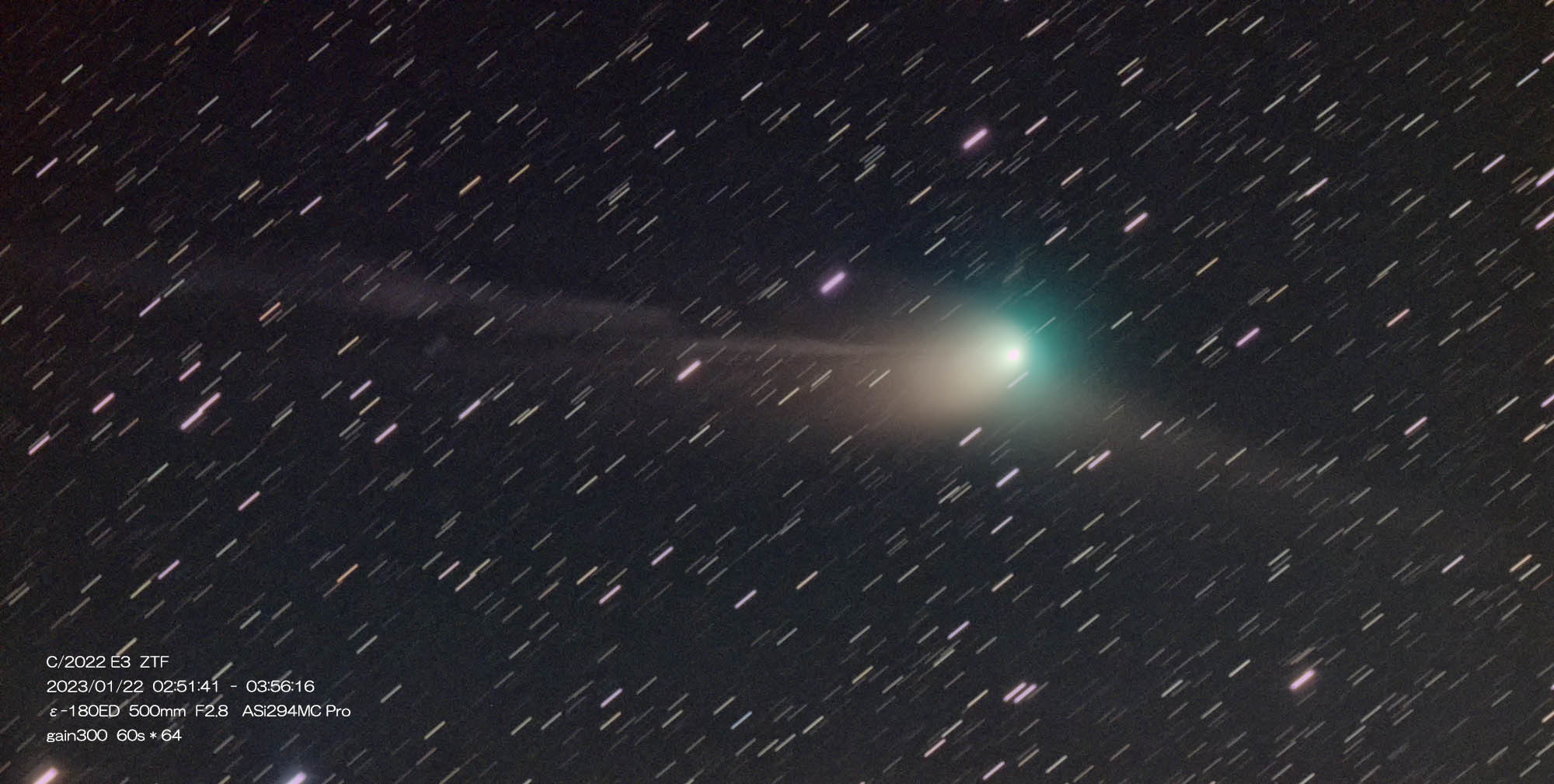 1月22日早朝のZTF彗星_e0174091_10565037.jpg
