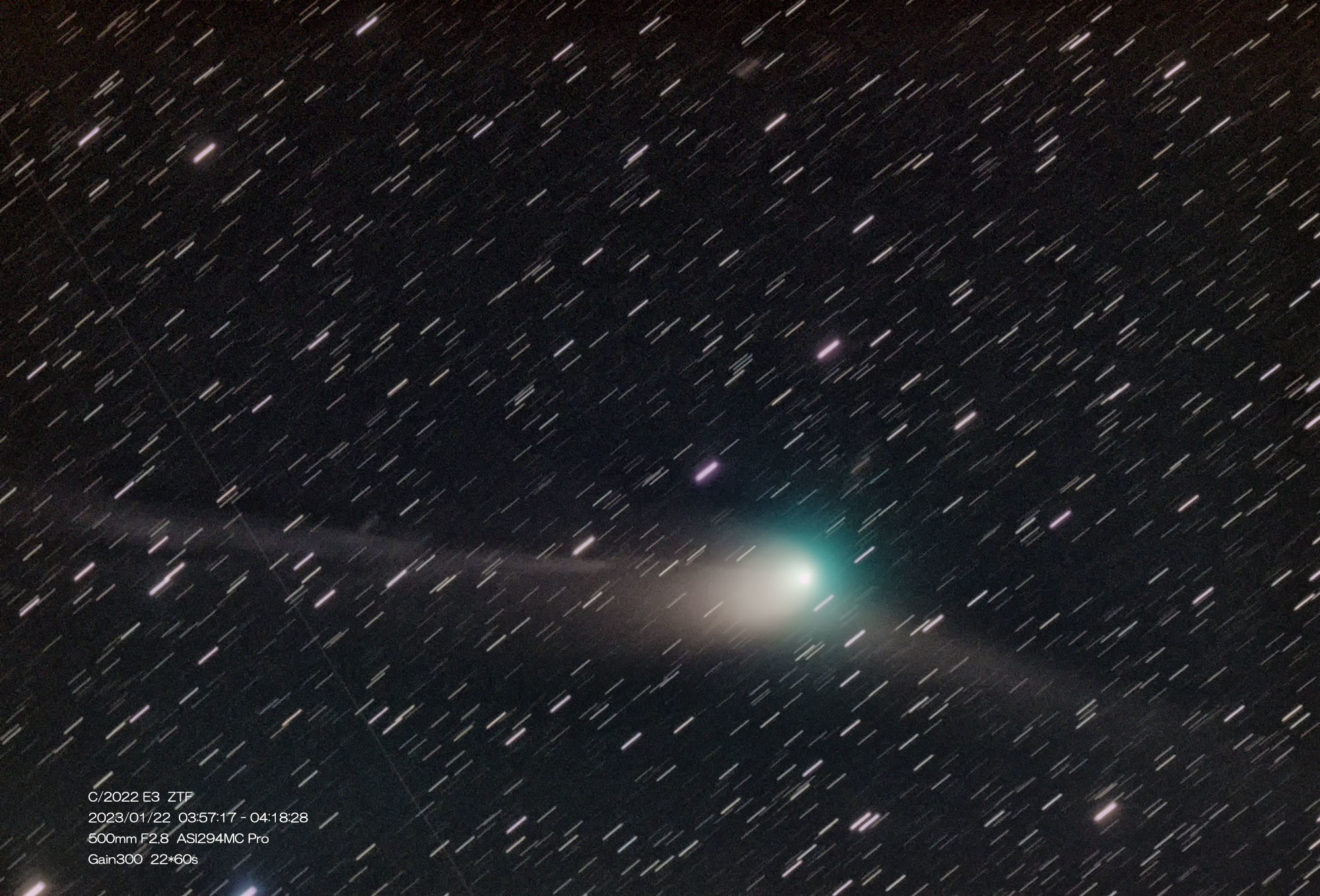 1月22日早朝のZTF彗星_e0174091_10565883.jpg