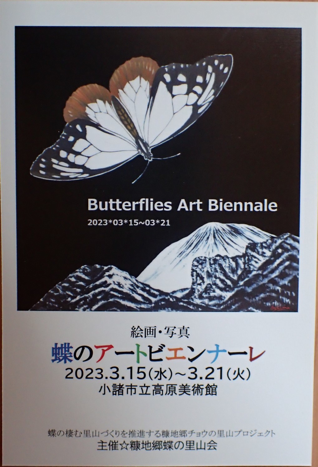 蝶のアートビェンナーレ_b0189231_19352207.jpg