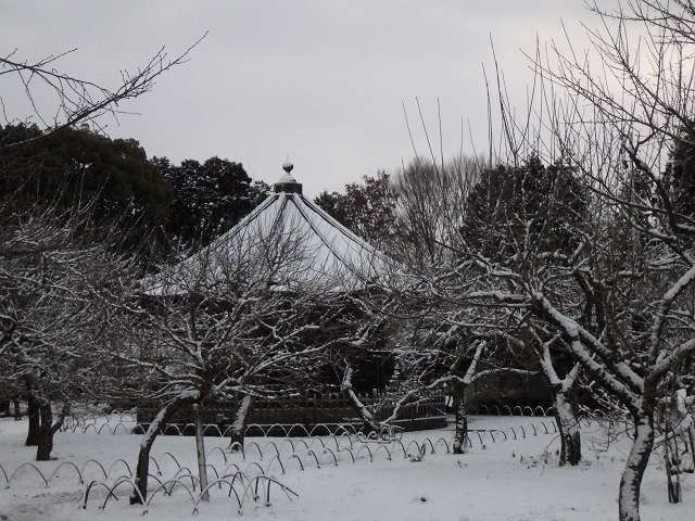 雪の弘道館　2023_b0330744_17363812.jpg