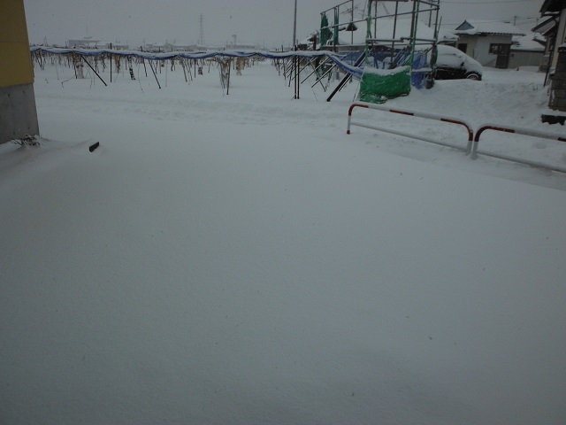 昨日はひどい暴風雪で、今日は寒い_b0186772_14563919.jpg