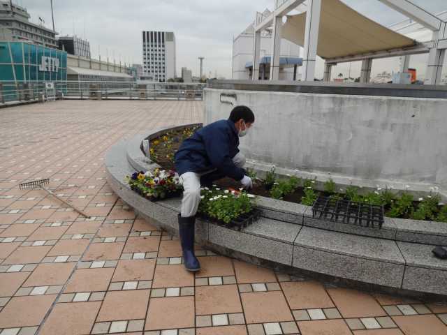 名古屋港水族館前花壇の植栽R5.1.16_d0338682_08143822.jpg