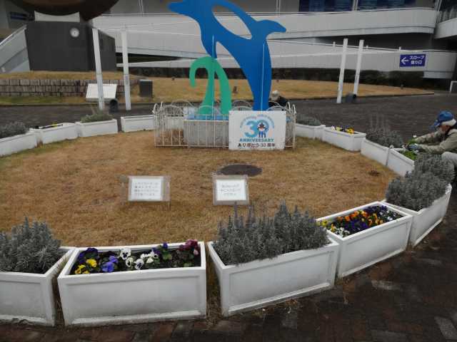 名古屋港水族館前花壇の植栽R5.1.16_d0338682_08164808.jpg