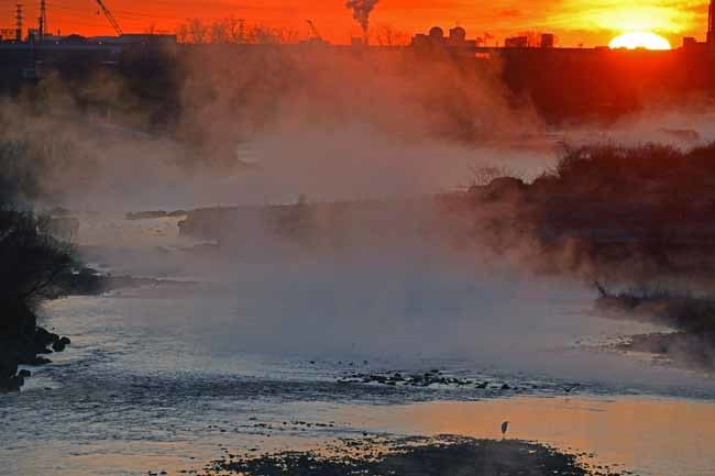 多摩川の川霧と日の出_f0173596_10380288.jpg