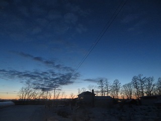 寒い日が続きますが、青空を見ると心嬉しく_b0405523_13142853.jpg