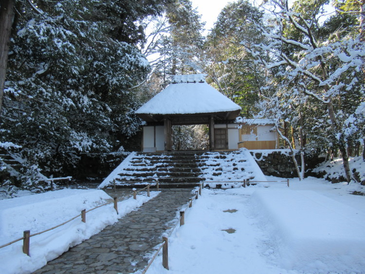 2023.01.26京さんぽ～哲学の道を歩いて法然院へ_e0410498_15493674.jpg