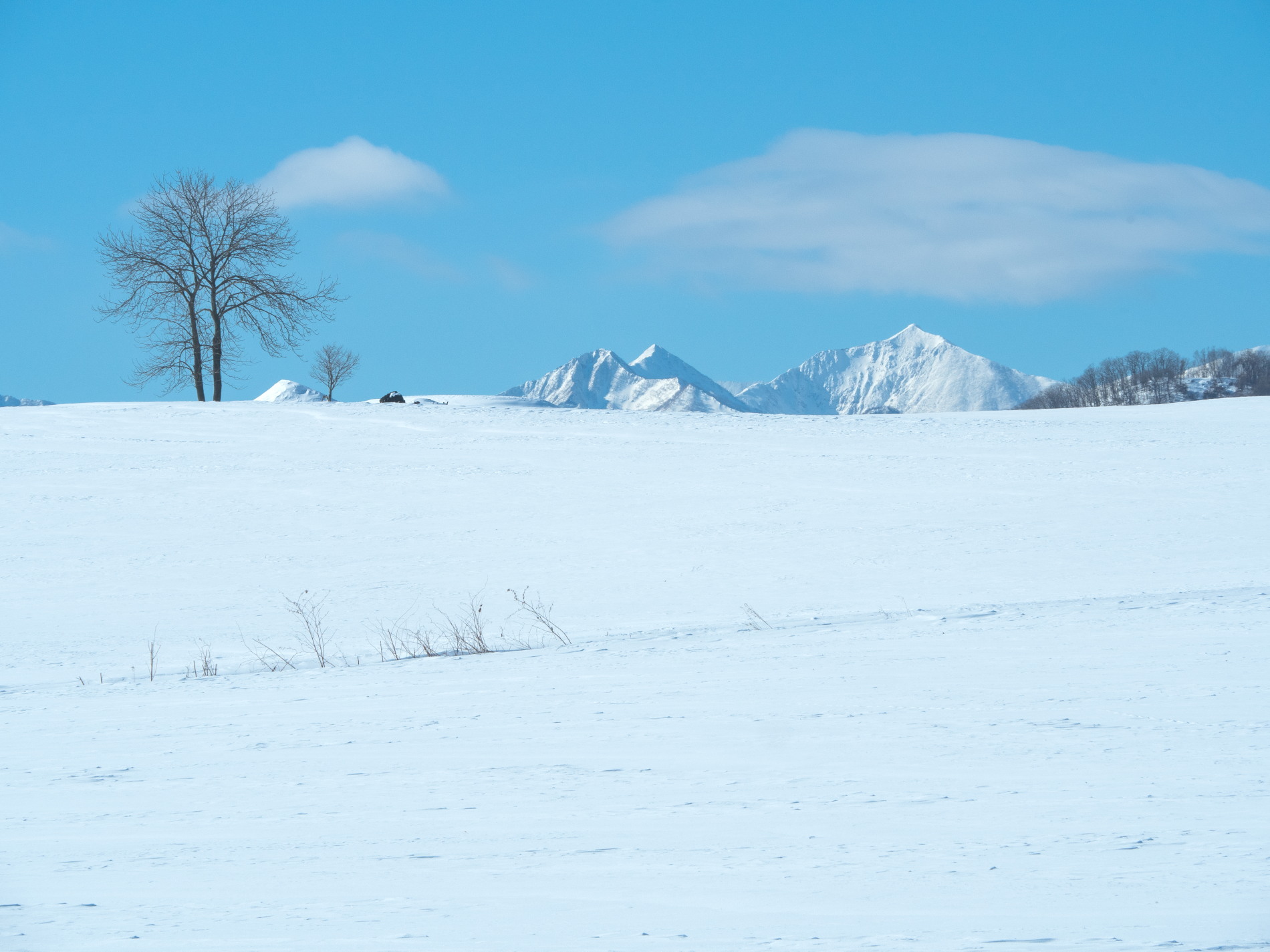 厳寒期の中札内村・雪の丘から頭を出す”日高山脈”_f0276498_21380946.jpg