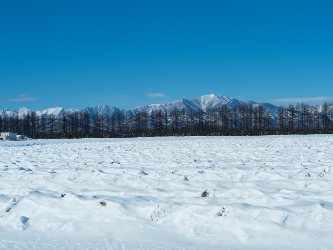 厳寒期の中札内村・雪の丘から頭を出す”日高山脈”_f0276498_21382087.jpg