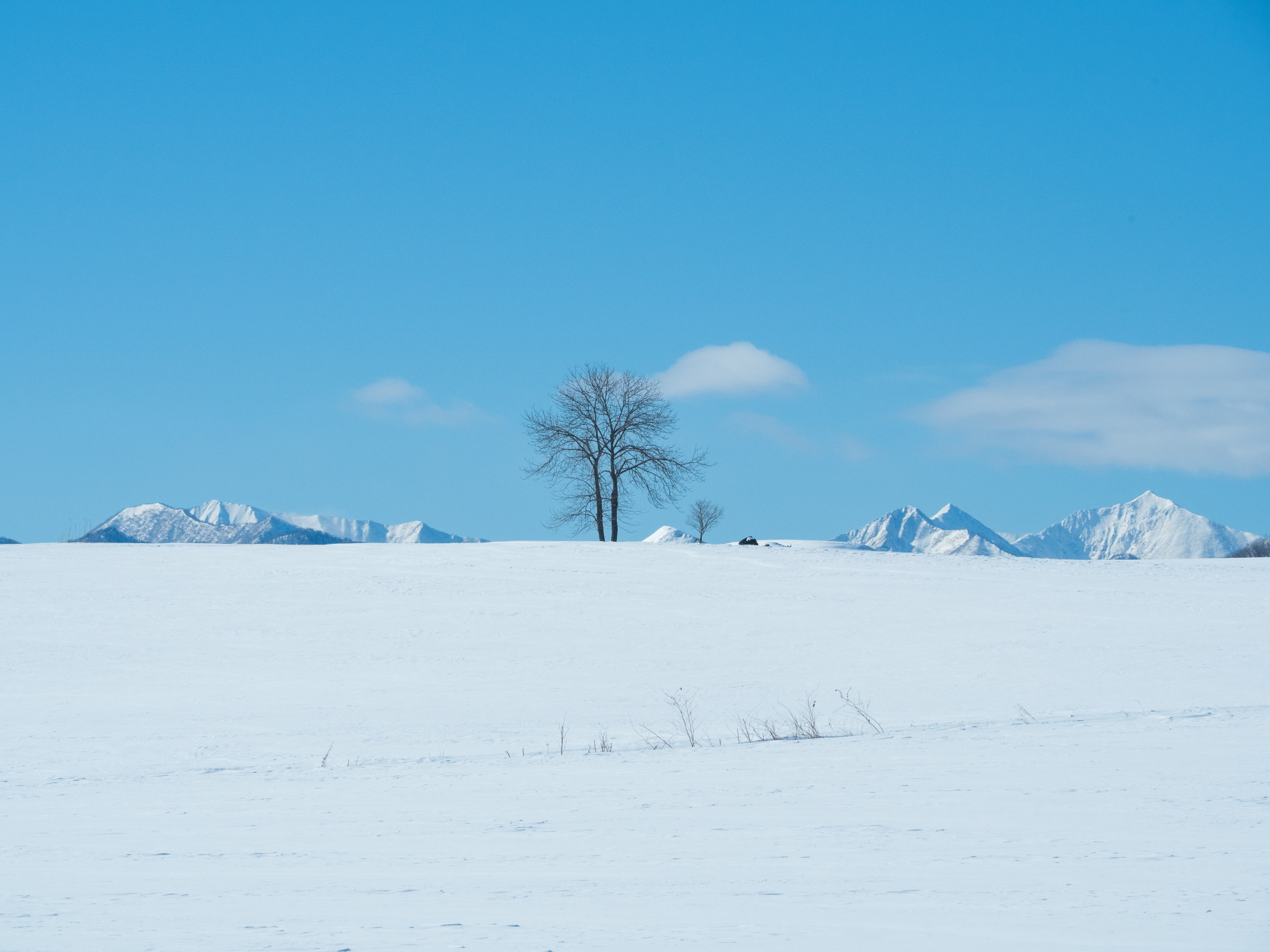 厳寒期の中札内村・雪の丘から頭を出す”日高山脈”_f0276498_21385694.jpg