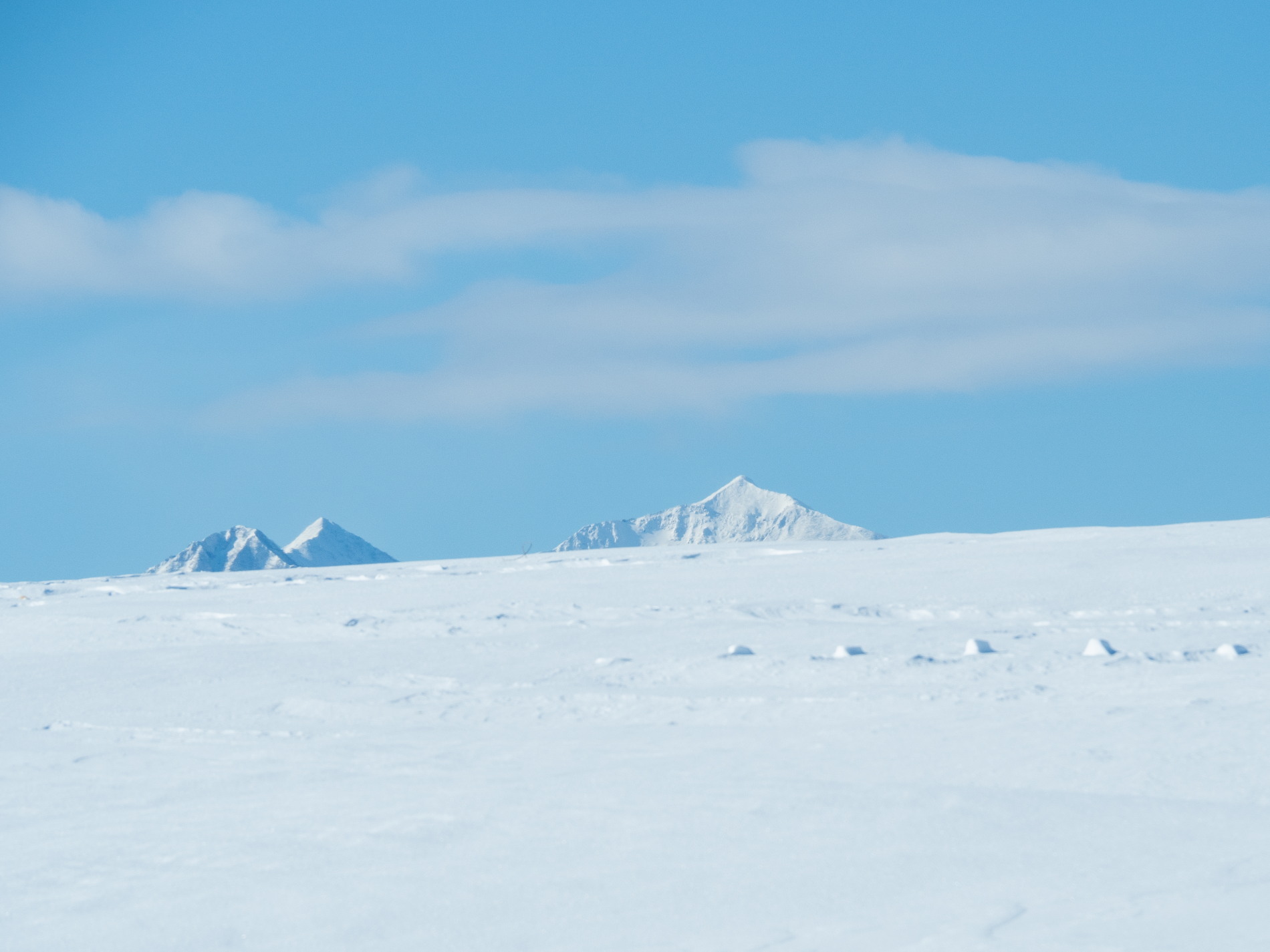 厳寒期の中札内村・雪の丘から頭を出す”日高山脈”_f0276498_21391612.jpg
