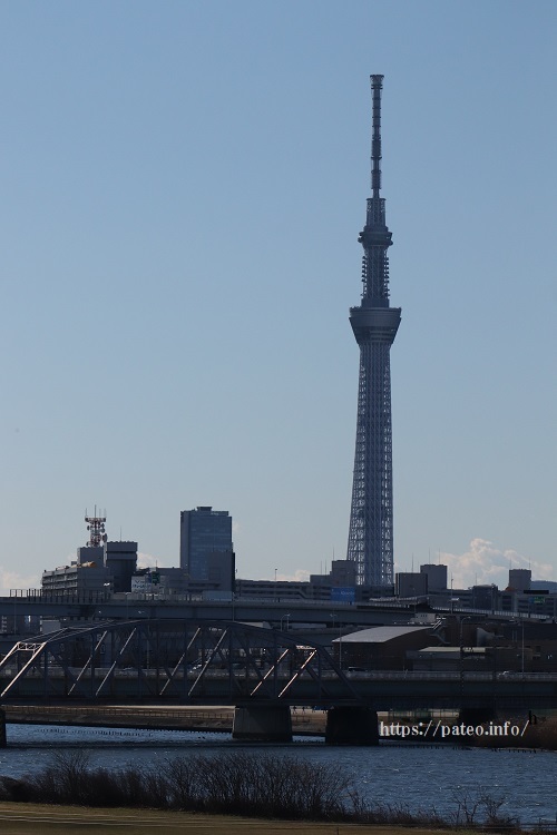 墨田川沿いに建つ　足立区曙町の高層マンション群。_a0214329_14380145.jpg