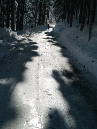 屋根雪とLPボンベ・・・歩く_d0005250_16091185.jpg