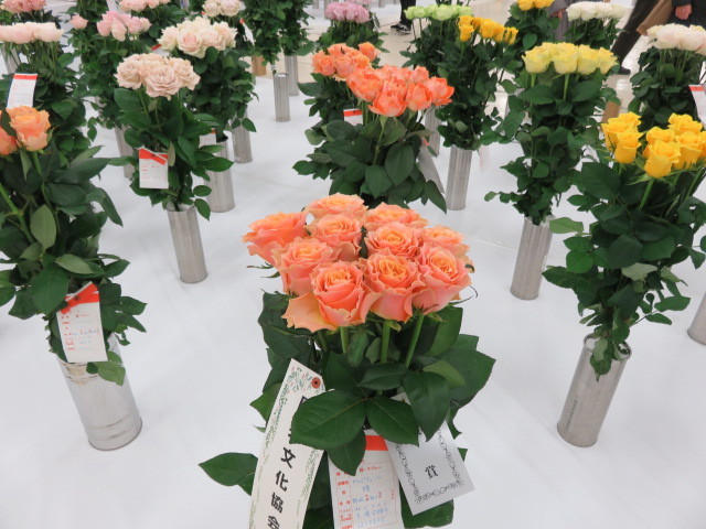 花の展覧会_b0133750_19505068.jpg