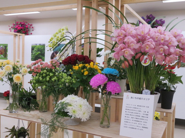 花の展覧会_b0133750_19515216.jpg