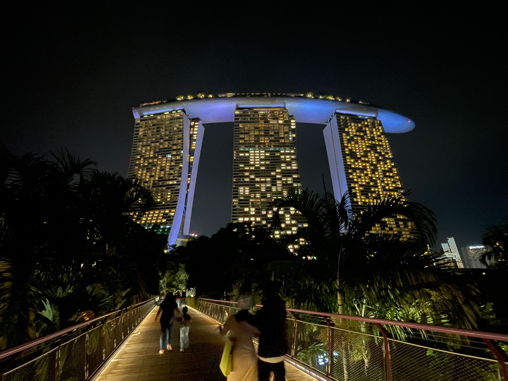 シンガポール４日目　夜はキラキラを見に行く_b0228252_20093581.jpg