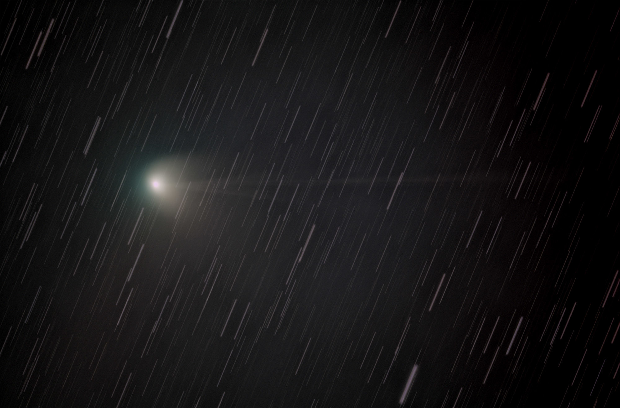 1月31日未明のZTF彗星_e0174091_16312467.jpg