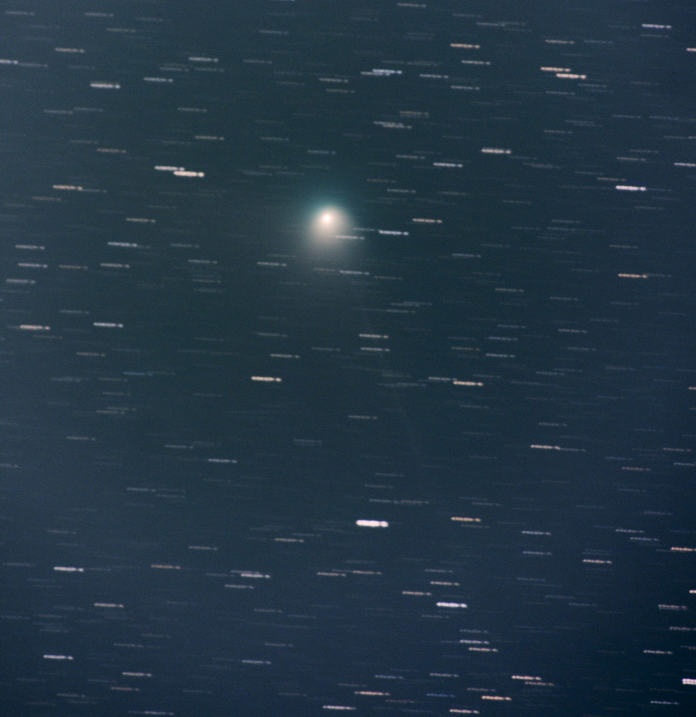 1月31日未明のZTF彗星_e0174091_16440187.jpg