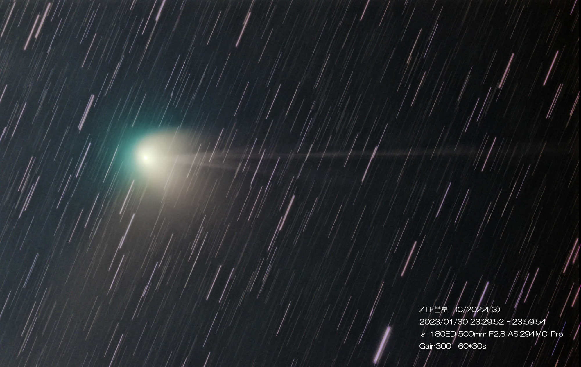 1月30日夜-31日朝　ZTF彗星　その２_e0174091_17495042.jpg
