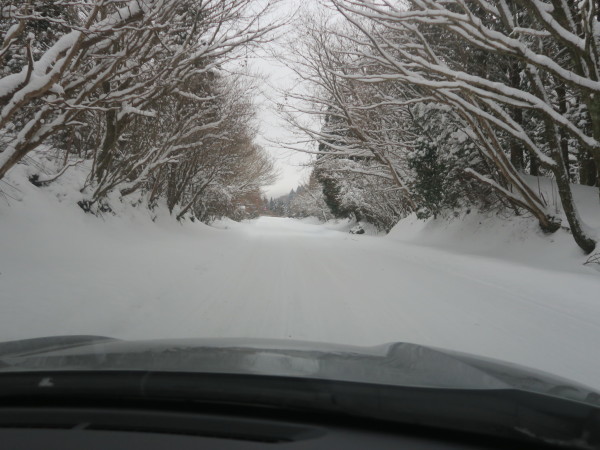 くじゅう雪山　　2023.01.29（日）_a0166196_11100697.jpg